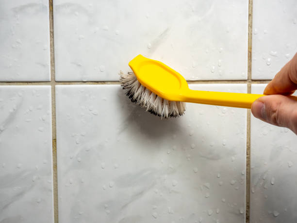 Best Residential Mold Removal  in Kensington Park, FL