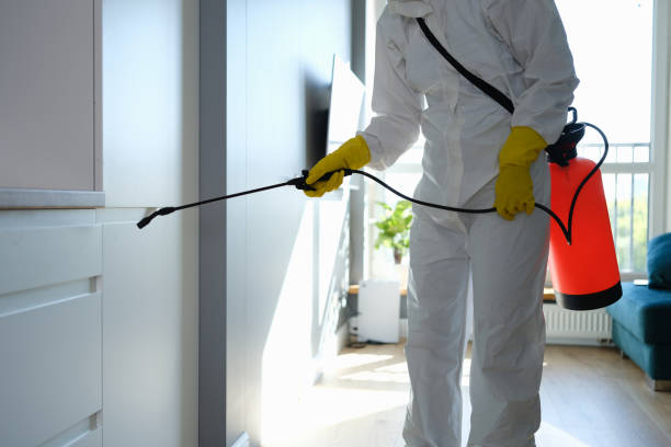 Crawl Space Mold Removal in Kensington Park, FL